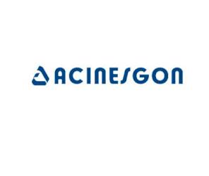 Acinesgon